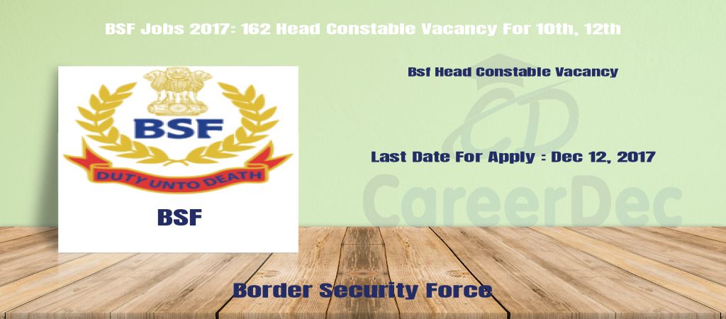 BSF Jobs 2017: 162 Head Constable Vacancy For 10th, 12th logo