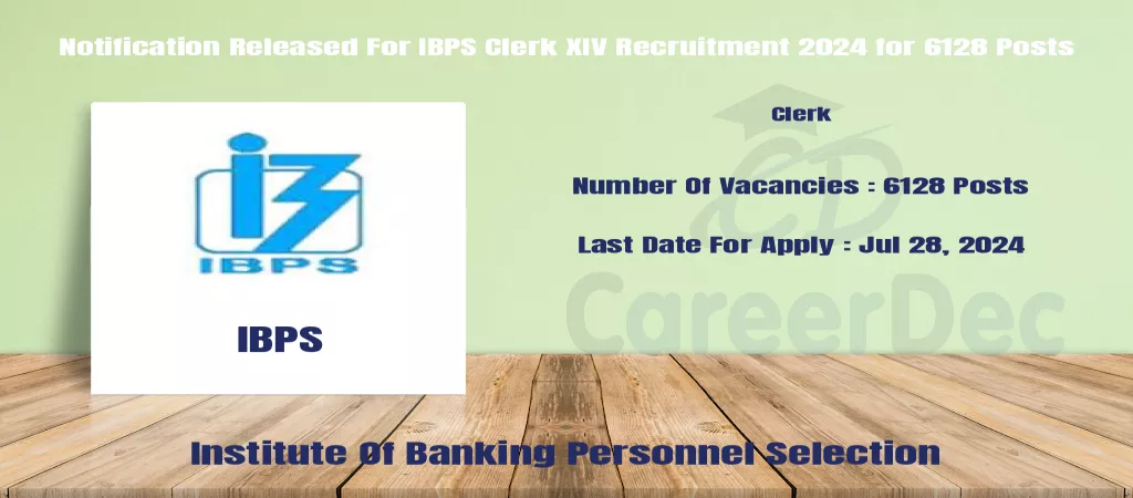 Notification Released For IBPS Clerk XIV Recruitment 2024 for 6128 Posts logo