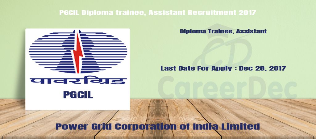 PGCIL Diploma trainee, Assistant Recruitment 2017 logo