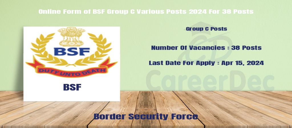Online Form of BSF Group C Various Posts 2024 For 38 Posts logo