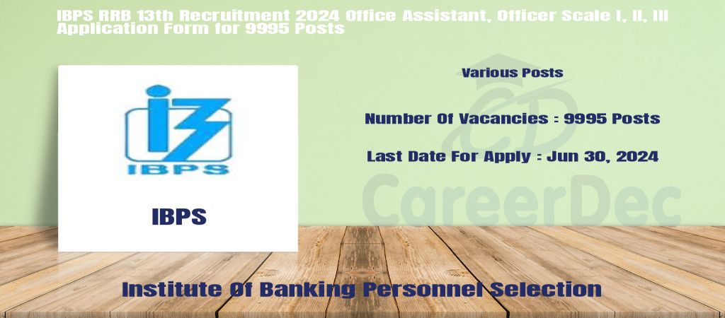 IBPS RRB 13th Recruitment 2024 Office Assistant, Officer Scale I, II, III Application Form for 9995 Posts logo